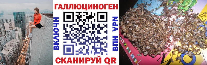 наркотики  Калуга  Псилоцибиновые грибы Magic Shrooms 