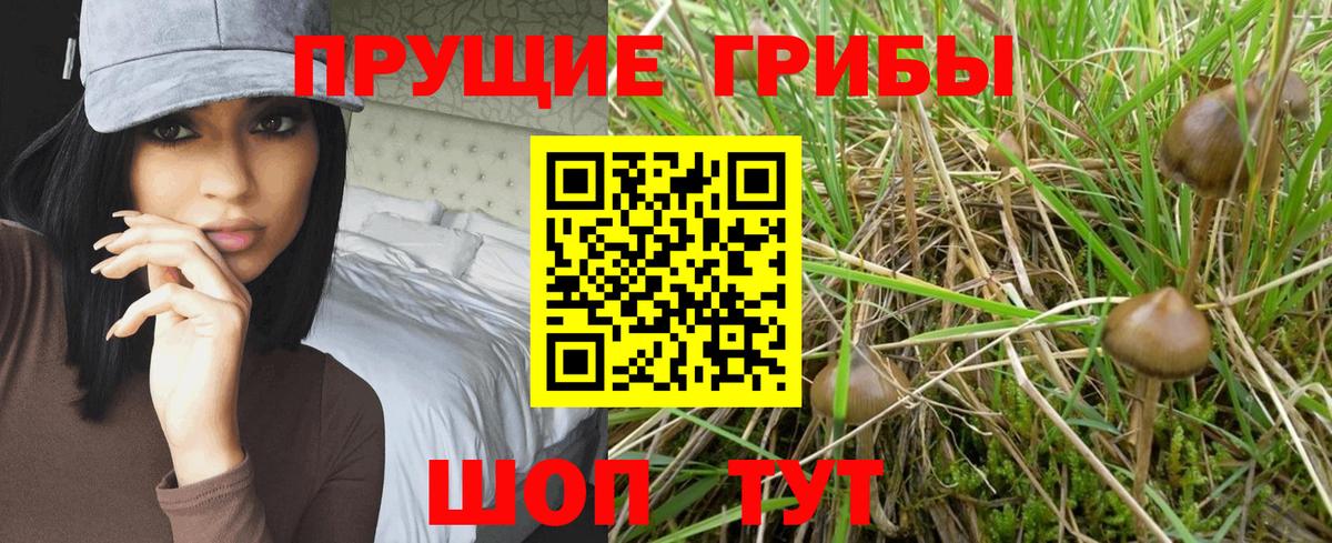 Калуга  Галлюциногенные грибы мицелий  Вход с VPN 