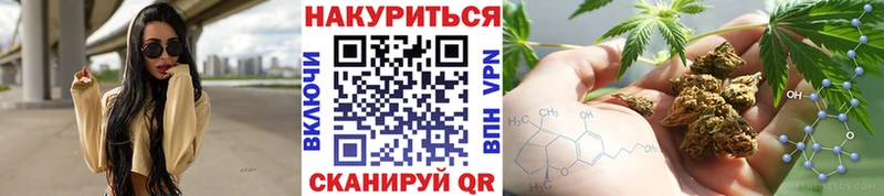 Канабис OG Kush  Калуга 